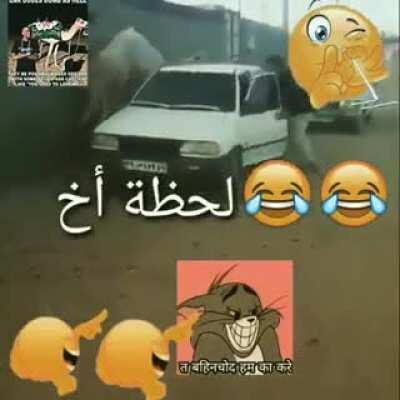 i forced myself to be a law abiding citizen this time