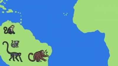 Que isso minuto da terra‼️😱🤬