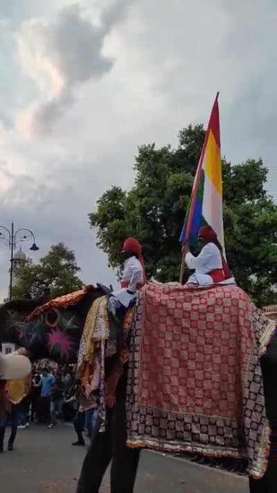 These pride parades are getting out of hand 😤😤