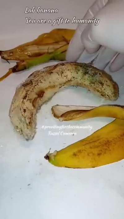 This is why you grow your own food