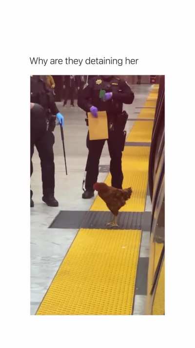 She didn't even do anything