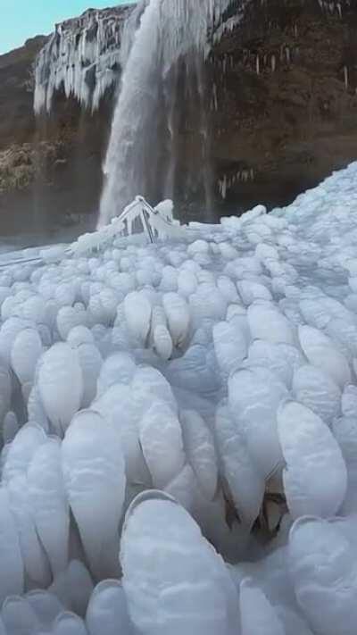 🔥 Frozen grass looks like Frozen Alien Eggs in Iceland.