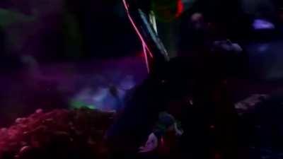 What if The Watcher saw Dr Strange Die multiple times?