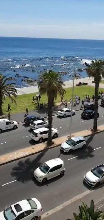 Regardless of your stance on the subject, you must admit this is kind of catchy!