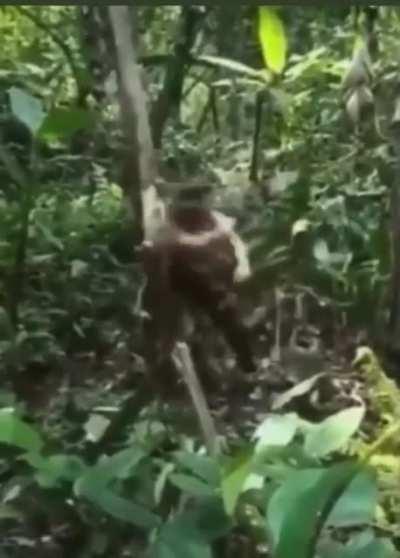 minecraft na vida real😨