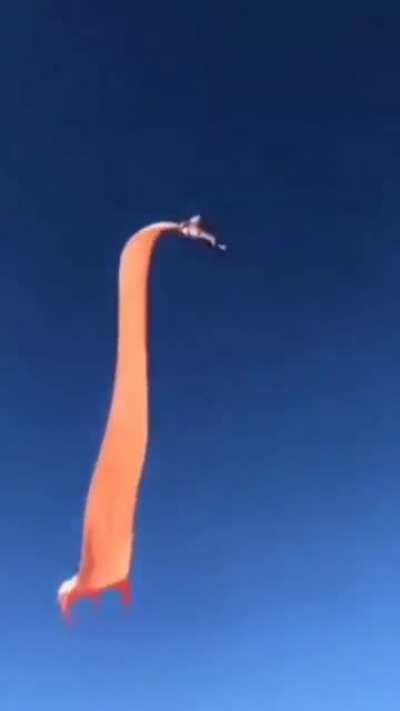 3 year old girl flies in the air with neck stuck in a kite