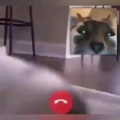 ANANI SİKM TİPE BAK ASKSKWHŞNWCXÖSPDB