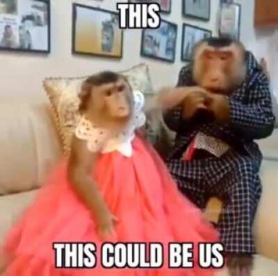 Monke.... LOVE 🐵😍