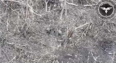 One, Two, barbeque! ☄🔥☠