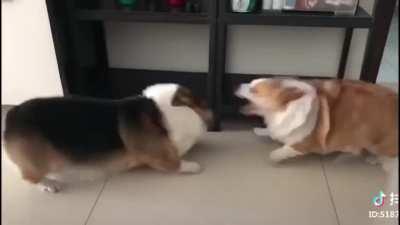 Cuties fight 😩💕