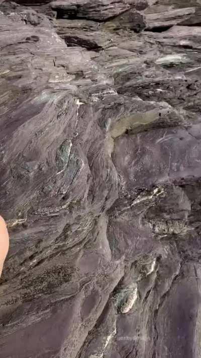 everything is more fun in the sun 😏