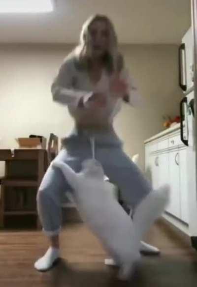 Hit Cat takes out target