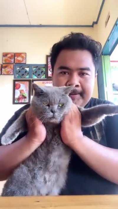 That crying gets me every time