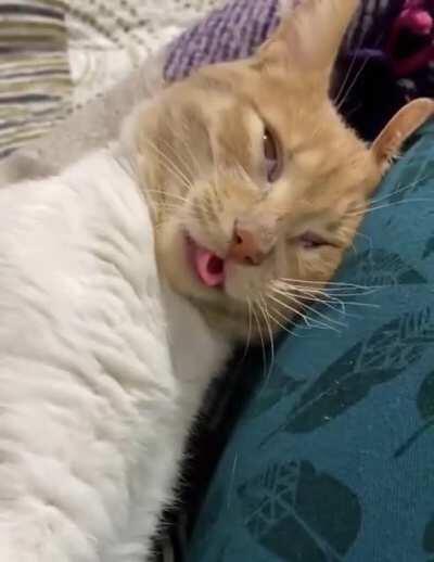 I couldn't help laughing from his face))