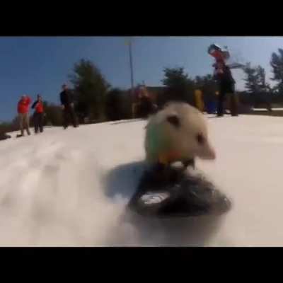 This is me, if you even care