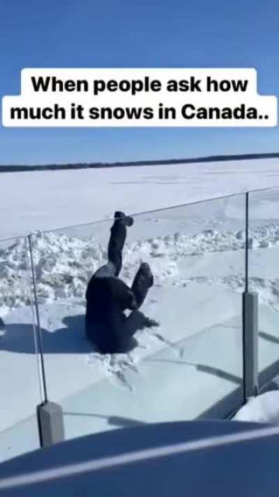 My Snow People Need Me.