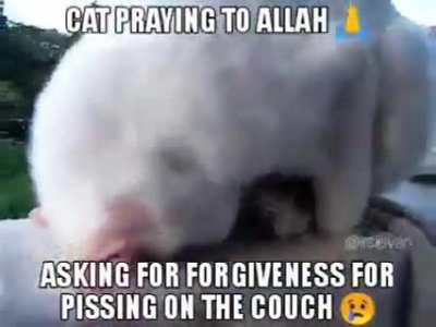 he be praying