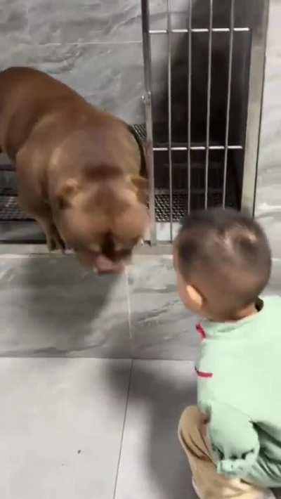 It’s love at first sight