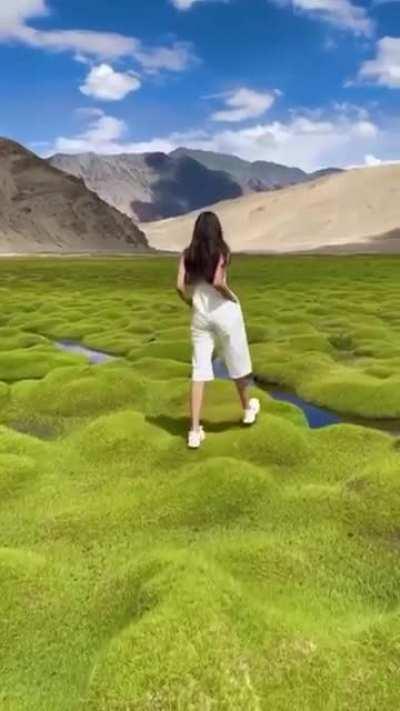 the ground - Puga valley India