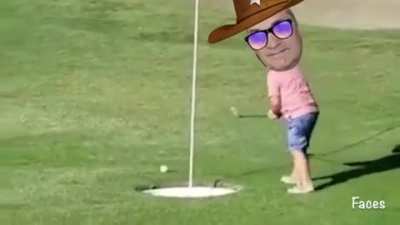 Bulls observing the struggle