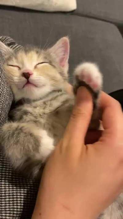 Played hard ... sleep hard!!