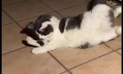 He thought his arm birthmark was a being of some sort, then chased it to the floor = Derp