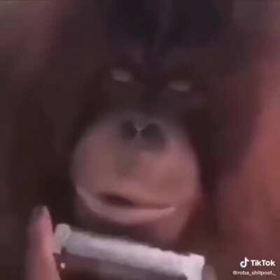 Up para que salga en su video