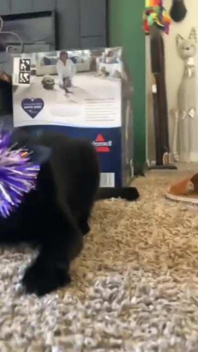 âAre you serious right nowâ