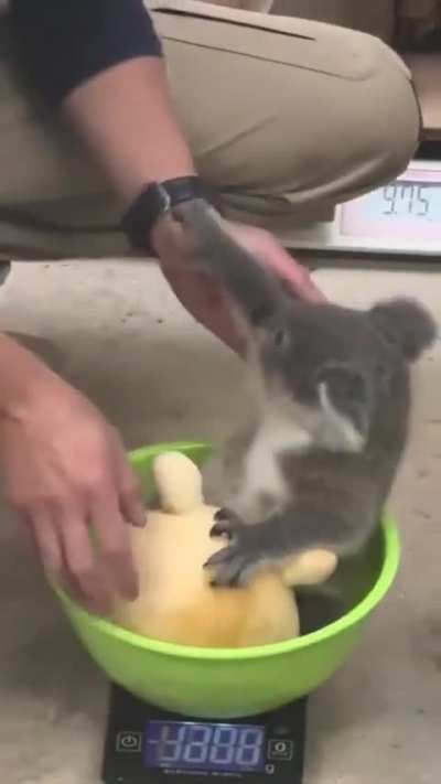 ChiLD TrAFfIcEr YoInKs bAbY oFf MoThErS FuCkInG BaCk