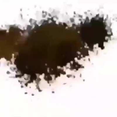 Roubei de um discord?talvez