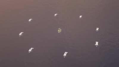 Dancing with the dolphins 🐬🎶