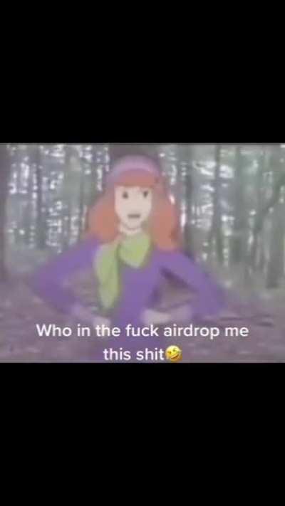 What mystery are they solving