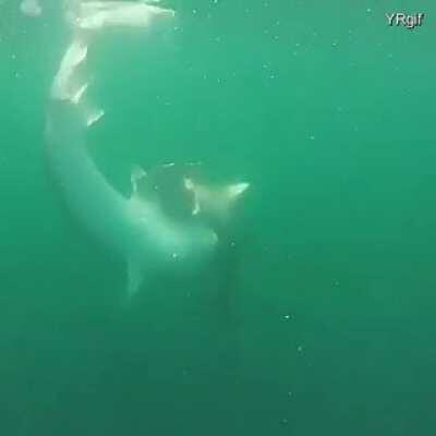 That's a big nope for me