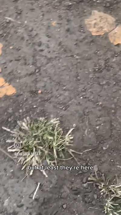 Parking lot review (2)