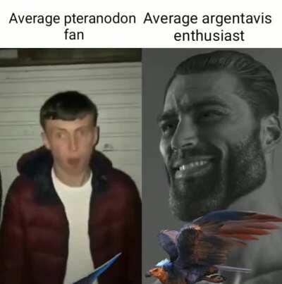 *signature look of supperiority*