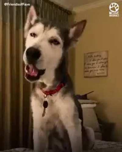 Warms the heart to see such stories. If you like it, please go to the original post and upvote and share it with others as well. 🙏