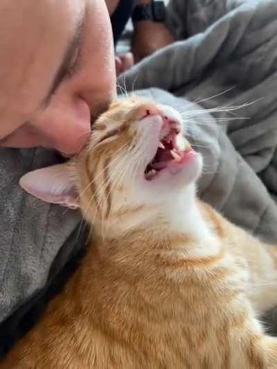 He finally lets daddy give him kisses and look how happy they both are!❤