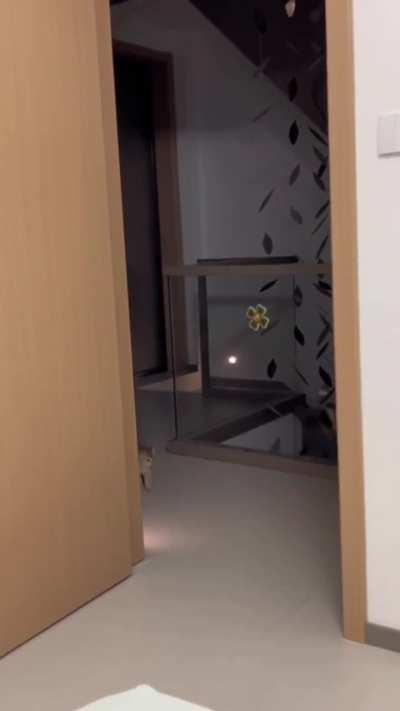 The second one is the responsible child