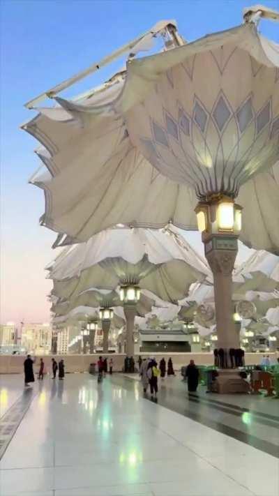 Vegas, like why aren’t these a thing!!?? Make this a reality, it was 120 the other day. 