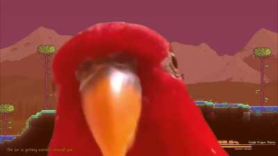 Yharon fight be like