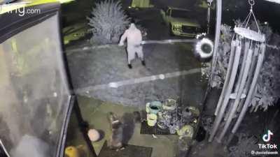 Man accidentally shot his dog and his dick