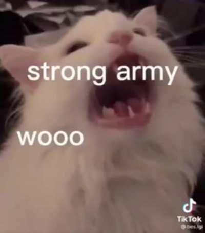 least proud pakistani