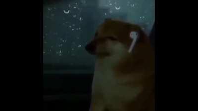 [meme] me watching every episode of season 2