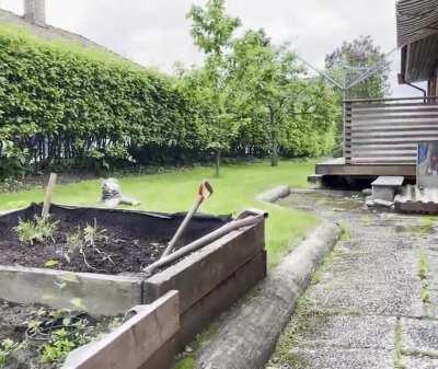 My cat died a Hollywood death