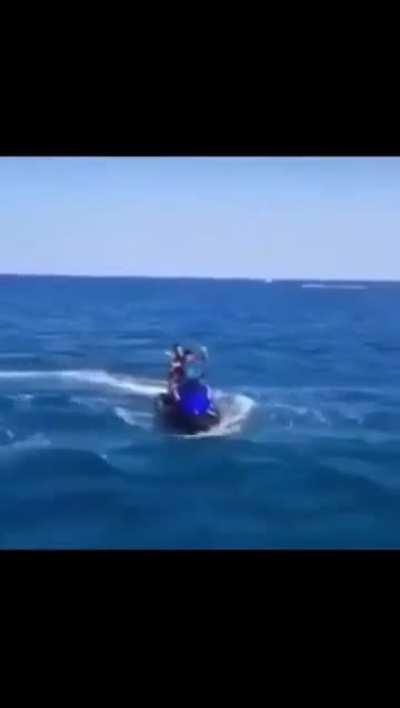 Fuck you sea drivers