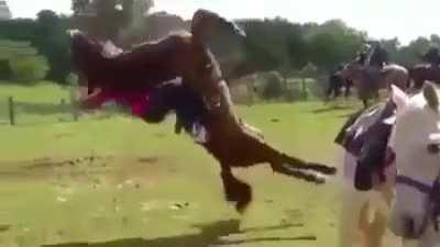 My Adc Getting smashed by Hecarim😍😛