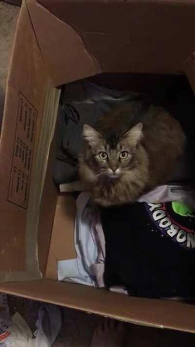 Just Finn and I having a polite discussion