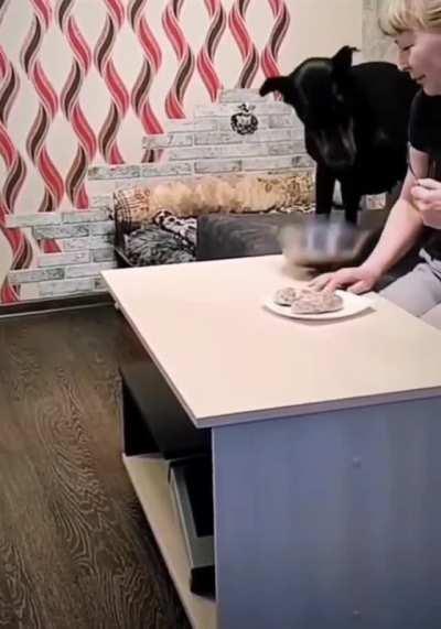 This Is Why We All Should Have A Dog