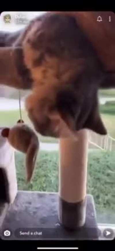 His heart stop for a second