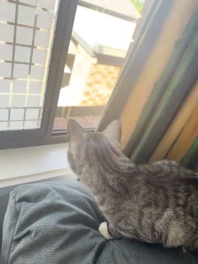 Just wanted to see what we were looking at 👀